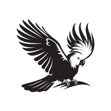 recommend clip art: Cockatoo Silhouette: Bold Black Vector Art Capturing the Majestic Beauty and Charisma of These Iconic Parrots- Cockatoo Parrot Vector- Cockatoo Parrot Illustration.