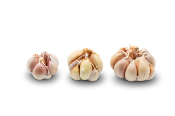 Macro closeup of garlic isolated on transparent background png	