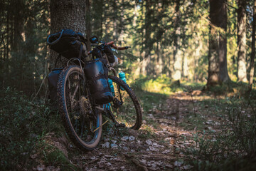 Naklejka premium Touring bike with bags. Bikepacking