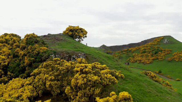 Aerial view of Hopetoun Monument surrounded by hills, gorse bushes, and pathway, East Lothian, United Kingdom.
