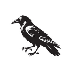Crow Vector Silhouette: Bold Black Vector Art Capturing the Mysterious Aura and Intelligence of These Iconic Birds - Crow Illustration.