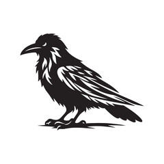 Crow Vector Silhouette: Bold Black Vector Art Capturing the Mysterious Aura and Intelligence of These Iconic Birds - Crow Illustration.