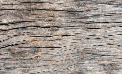 Old wood plank texture can be use as  background