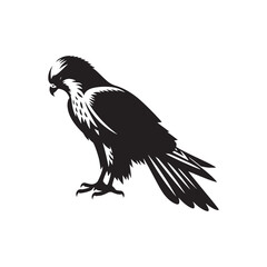 Minimalist Falcon Vector Silhouette: Striking Black Vector Art - Falcon Illustration - Bird Vector Silhouette.