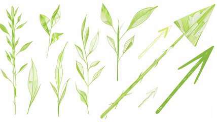 A selection of variations of green leaves on a white background, the concept of spring and summer foliage
