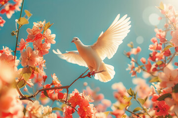 A dove, pigeon flies against the background of a sunny sky and beautiful flowers