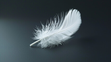 White fluffy bird feather on a black background close-up