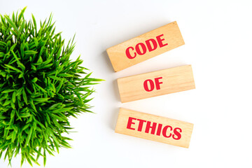 Organizational concept. CODE OF ETHICS is written on wooden blocks on wooden blocks on a white background with a plant in the composition. View from above