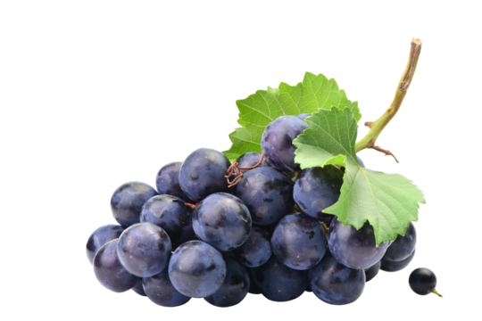 Bunch of grapes isolated on white background