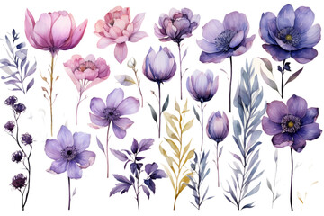 Collection of Hand-Painted Watercolor Flowers Isolated on Transparent Background, PNG, Cut Out.
