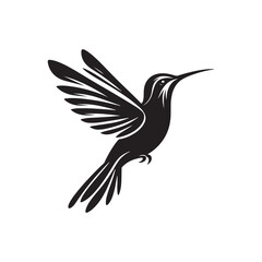 Hummingbird Vector Silhouette: Delicate Black Vector Art Capturing the Grace and Speed of These Tiny Iconic Birds - Hummingbirds Illustration.