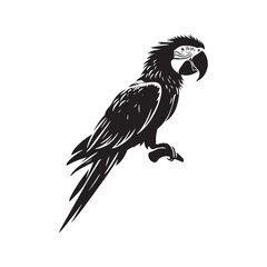 Vector Macaw Parrot Silhouette: Striking Black Vector Art Capturing the Vibrant Beauty and Tropical Majesty of These Iconic Parrots- Macaw Parrot Illustration.