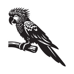 Parrot Silhouettes: the Vibrant Beauty and Playful Spirit of These Iconic Tropical Birds - Parrot Vector - Parrot Illustration.