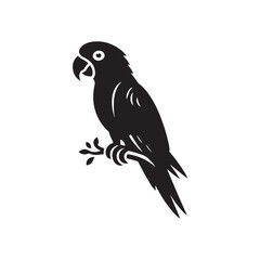 Parrot Silhouettes: the Vibrant Beauty and Playful Spirit of These Iconic Tropical Birds - Parrot Vector - Parrot Illustration.