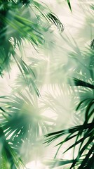 blurry palm leaves against grey background