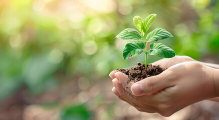 Sapling in the hands of a young girl.Generative AI