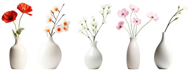 Flowers vase png on transparent background