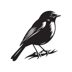 Robin bird Silhouette- Charming Black Vector Art Capturing the Delicate Beauty and Iconic Presence of These Beloved Bird - Robin Bird Vector - Robin Bird Illustration.
