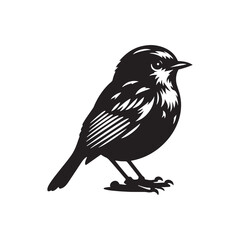 Robin bird Silhouette- Charming Black Vector Art Capturing the Delicate Beauty and Iconic Presence of These Beloved Bird - Robin Bird Vector - Robin Bird Illustration.