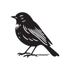Robin bird Silhouette- Charming Black Vector Art Capturing the Delicate Beauty and Iconic Presence of These Beloved Bird - Robin Bird Vector - Robin Bird Illustration.