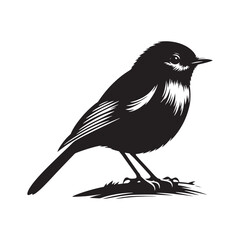 Robin bird Silhouette- Charming Black Vector Art Capturing the Delicate Beauty and Iconic Presence of These Beloved Bird - Robin Bird Vector - Robin Bird Illustration.