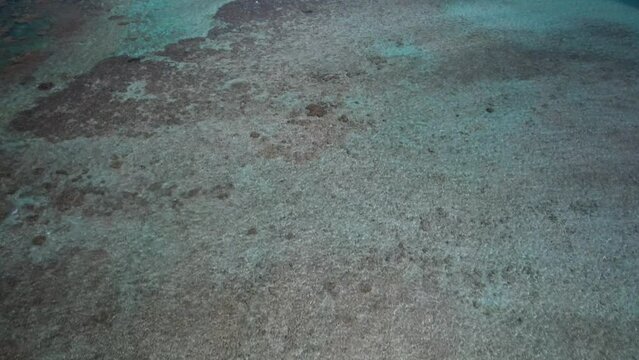 Cayo vapor in los roques showcasing the stunning coral barrier, aerial view