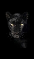 Vertical closeup shot of a black leopard is captured in a dark environment