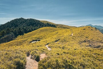 Fototapeta premium mountain trail going to the top of grassy area with hills in background