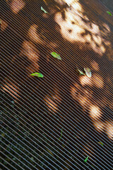Sunlight and Leaves on Metal Grate Surface - Abstract Nature Background