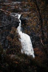 Breathtaking view of a majestic waterfall cascading down a lush green forest of trees