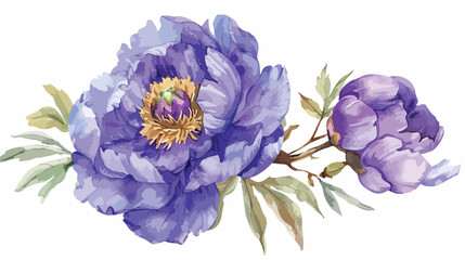 Summer flower watercolor violet peony. Floral clip 
