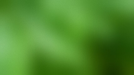 Green leaf. gradient blurred colorful with grainy noise effect background, for art product design, social media, trendy,vintage,brochure,banner