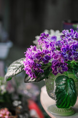 A green vase filled with viola purple flowers sits atop a table in a room