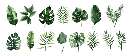 Set Floral Foliage, Tropical Leaves Isolated on Transparent Background, PNG, Cut Out.