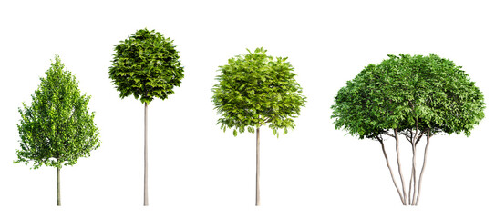 Set of various urban trees isolated on transparent background. 3D render.