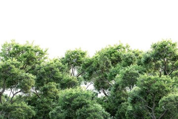 Herd of zebras grazing on lush green field. Suitable for wildlife and nature concepts