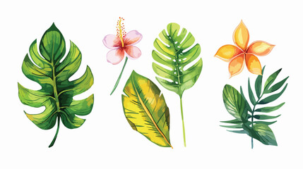Tropical leaves Four watercolor leaf flowers. Jungle