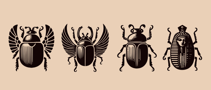 Egyptian sacred scarab beetle. Set. vintage engraving illustration, emblem, logo
