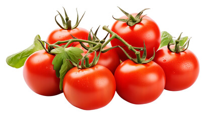 Fresh Delicious Tomatoes Isolated on Transparent Background, PNG, Cut Out.