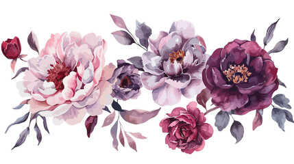 Watercolor floral Four  pink peonies and burgundy ros