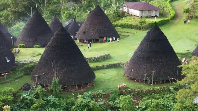 Aerial view of traditional village with terraced fields and lush green landscape, Wae Rebo, Flores, Indonesia.