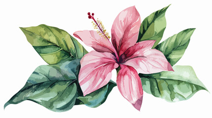 Watercolor flower illustration tropical pink 