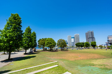 新緑の豊洲公園の風景（2024年5月）