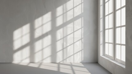 Shadow of window light on transparent wall overlay