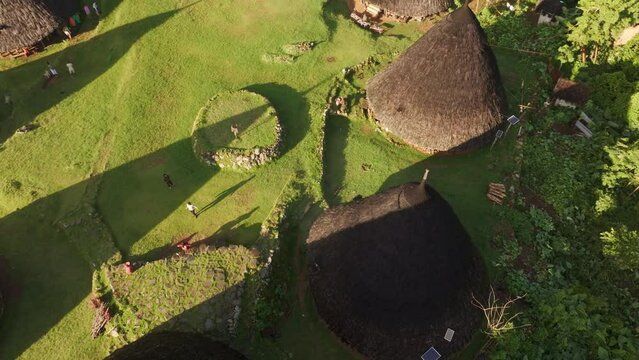 Aerial view of traditional village with thatched huts and lush greenery, Flores, Indonesia.