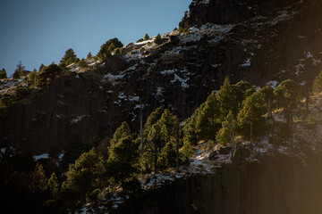 Majestic mountain with lush trees emerging from its rugged slopes, Nevado de Colima National Park