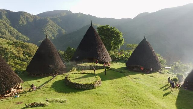 Aerial view of traditional village with conical houses and lush greenery, Wae Rebo, Flores, Indonesia.
