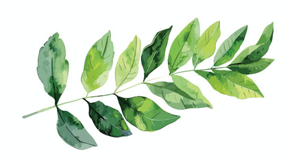 Watercolor green leaf. Hand painting floral illustration