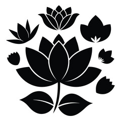 Lotus flowers in different blooms and shapes. Black and white vector illustration of different types of water lilies