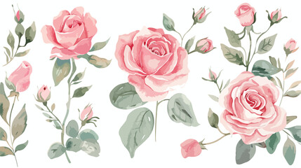 Watercolor pink flower rose floral clip art. Bouquet